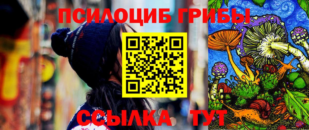 Псилоцибиновые грибы Psilocybe  Вход с VPN  Галлюциногенные грибы Psilocybe  Курчатов 
